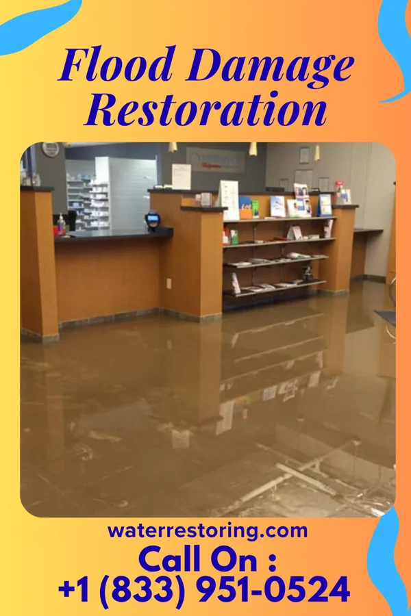 Flood Damage Restoration in Brownsburg, IN