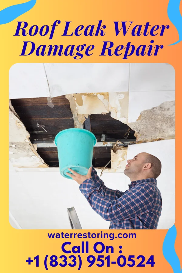 Roof Leak Water Damage Repair in Brownsburg, IN
