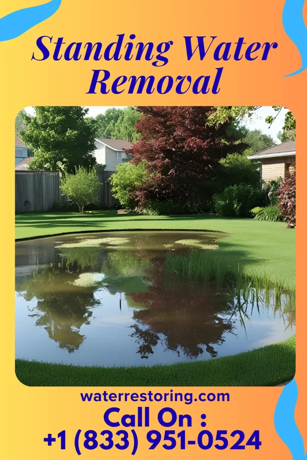 Standing Water Removal in Brownsburg, IN
